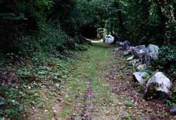 Mine de rancié