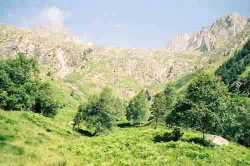 Etang de Montestaure